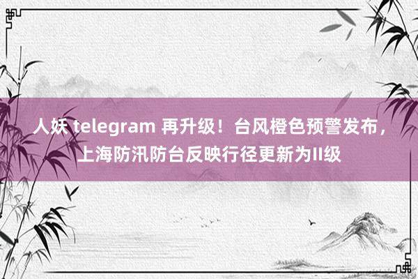 人妖 telegram 再升级！台风橙色预警发布，上海防汛防台反映行径更新为II级