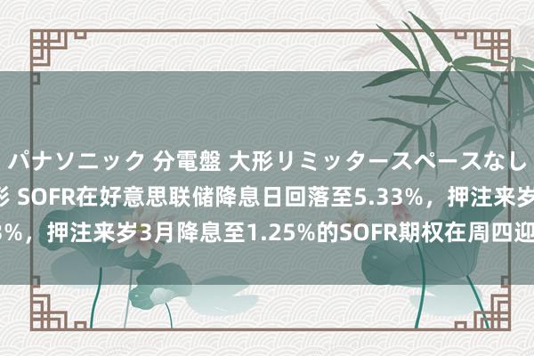 パナソニック 分電盤 大形リミッタースペースなし 露出・半埋込両用形 SOFR在好意思联储降息日回落至5.33%，押注来岁3月降息至1.25%的SOFR期权在周四迎来更多买盘